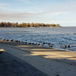 Meet your Posher, Blair